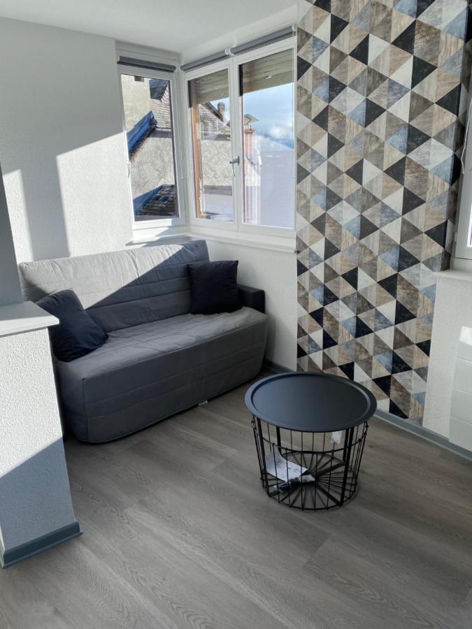 Residence Avec Un T3 Un T2 Et Un Studio En Centre Ville D Argelès-Gazost Dış mekan fotoğraf