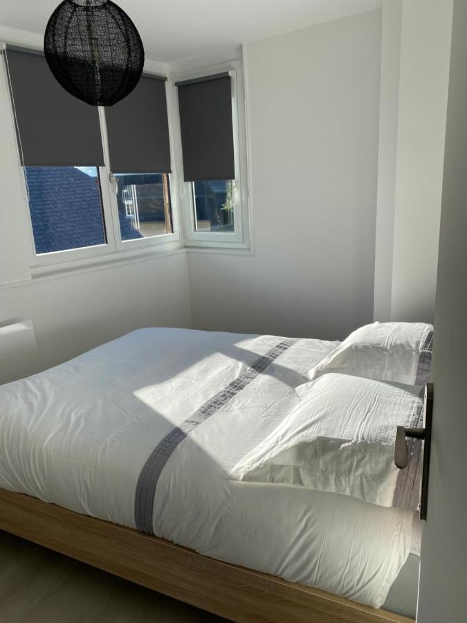 Residence Avec Un T3 Un T2 Et Un Studio En Centre Ville D Argelès-Gazost Dış mekan fotoğraf