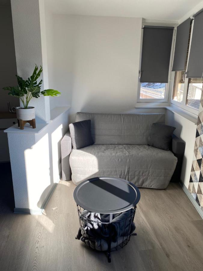 Residence Avec Un T3 Un T2 Et Un Studio En Centre Ville D Argelès-Gazost Dış mekan fotoğraf